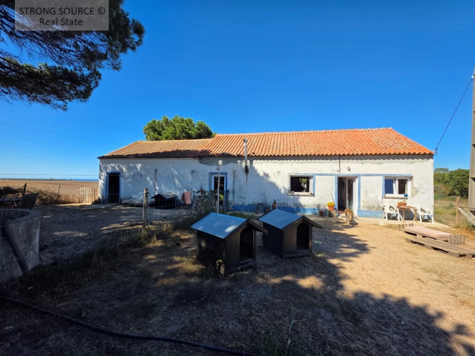 Quinta T3 para Venda em São Teotónio Foto 16