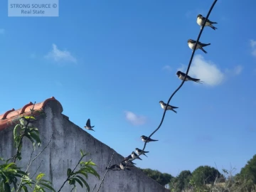 Quinta T3 para Venda em São Teotónio