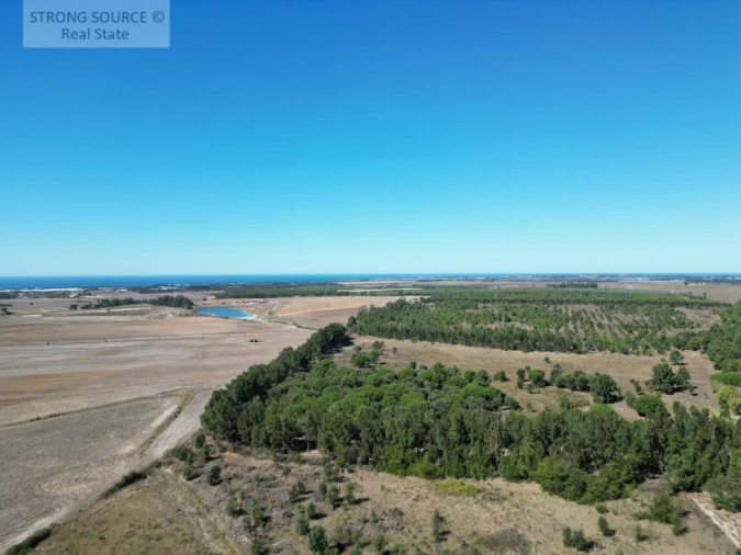 Quinta T3 para Venda em São Teotónio Foto 8