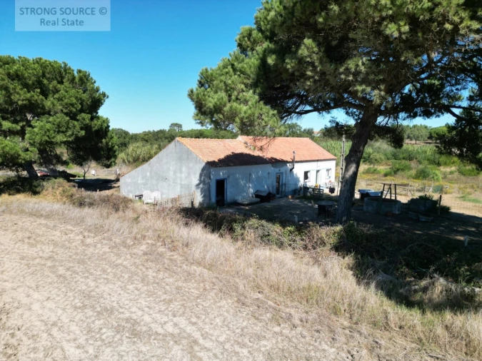 Quinta T3 para Venda em São Teotónio Foto 14