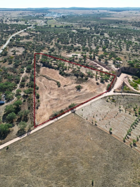 Terreno Agricola ou Rústico para Venda em Barbacena e Vila Fernando