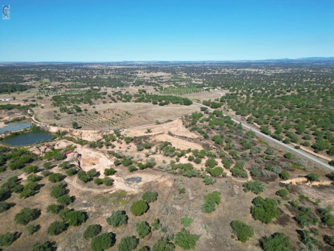 Terreno Agricola ou Rústico para Venda em Barbacena e Vila Fernando Foto 5