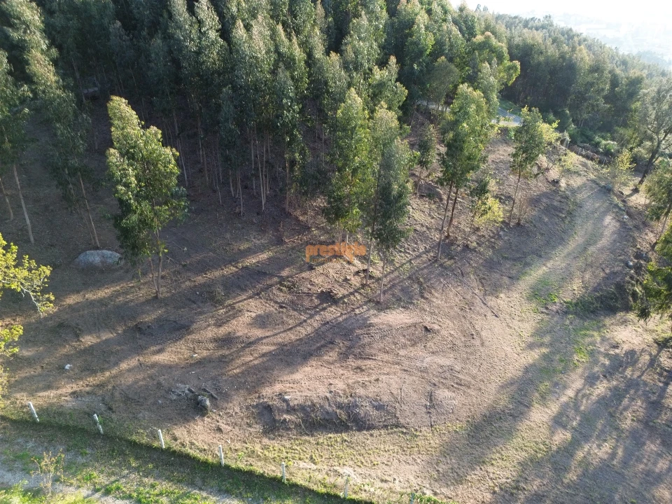 Terreno para Venda em Nogueiró e Tenões Foto 26