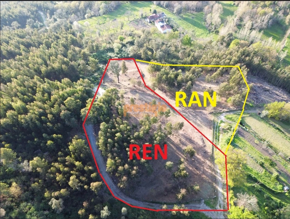 Terreno para Venda em Nogueiró e Tenões Foto 1