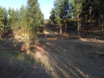 Terreno para Venda em Nogueiró e Tenões