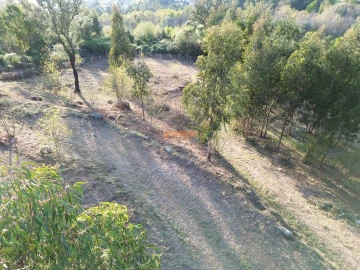 Terreno para Venda em Nogueiró e Tenões