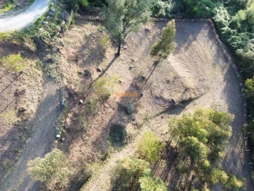 Terreno para Venda em Nogueiró e Tenões