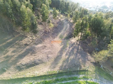 Terreno para Venda em Nogueiró e Tenões