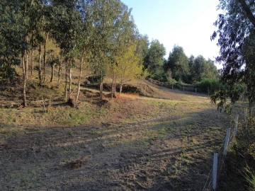 Terreno para Venda em Nogueiró e Tenões