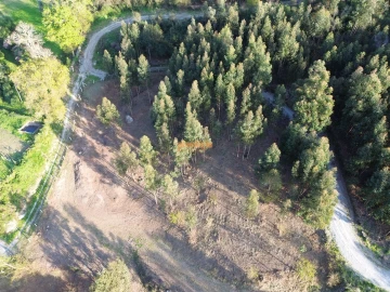 Terreno para Venda em Nogueiró e Tenões