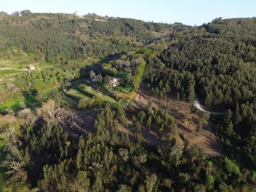 Terreno para Venda em Nogueiró e Tenões