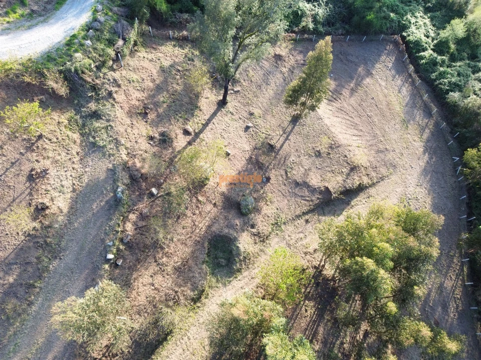 Terreno para Venda em Nogueiró e Tenões Foto 9