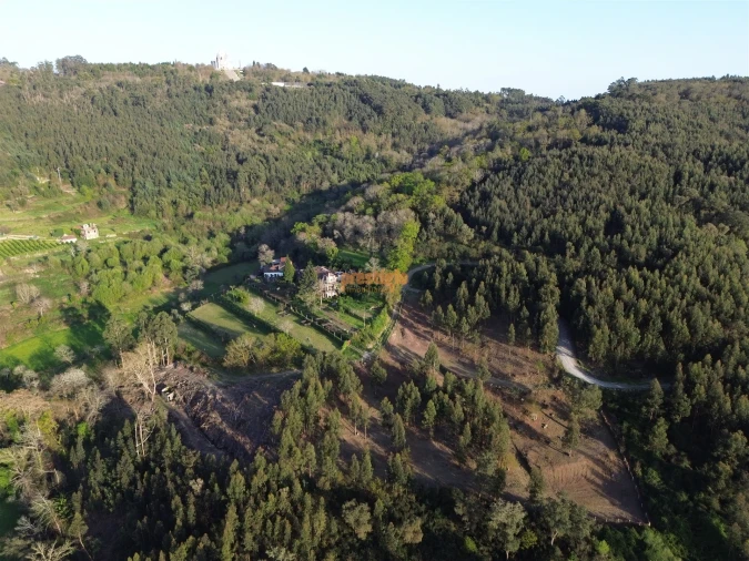 Terreno para Venda em Nogueiró e Tenões Foto 7