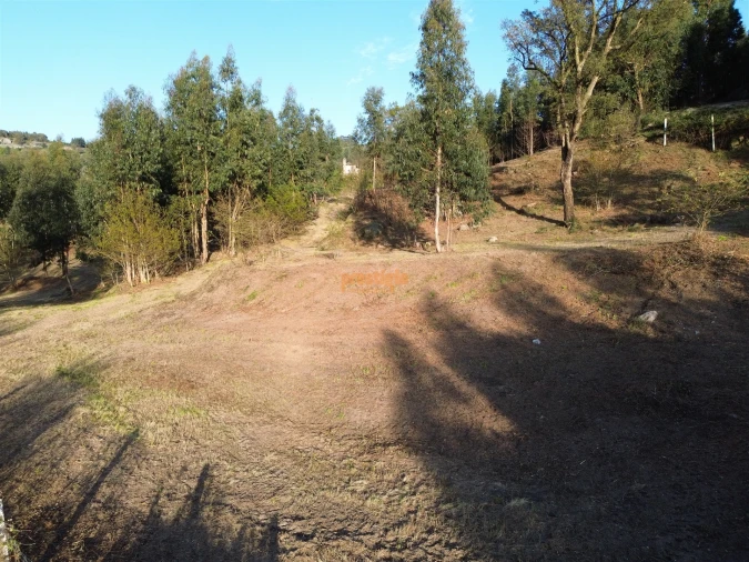 Terreno para Venda em Nogueiró e Tenões Foto 16