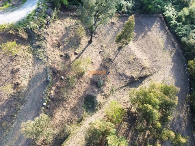 Terreno para Venda em Nogueiró e Tenões Foto 9