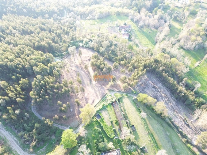 Terreno para Venda em Nogueiró e Tenões Foto 28