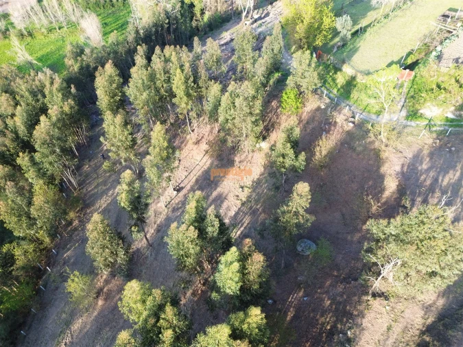Terreno para Venda em Nogueiró e Tenões Foto 10