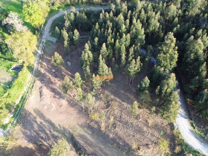 Terreno para Venda em Nogueiró e Tenões Foto 11