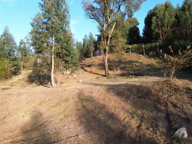 Terreno para Venda em Nogueiró e Tenões Foto 17