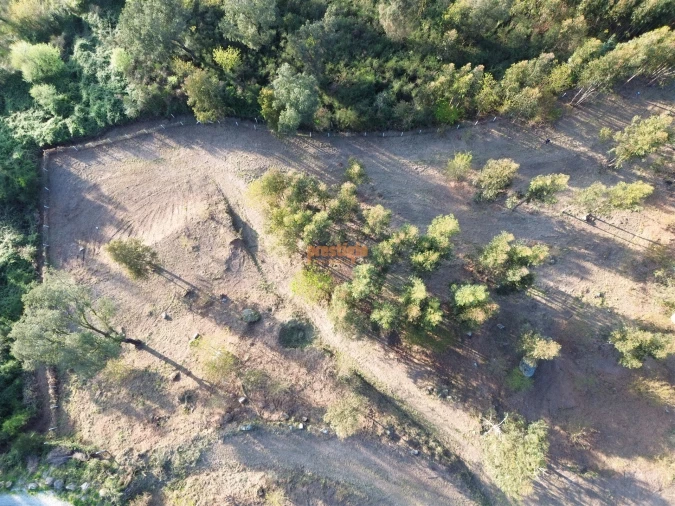 Terreno para Venda em Nogueiró e Tenões Foto 12