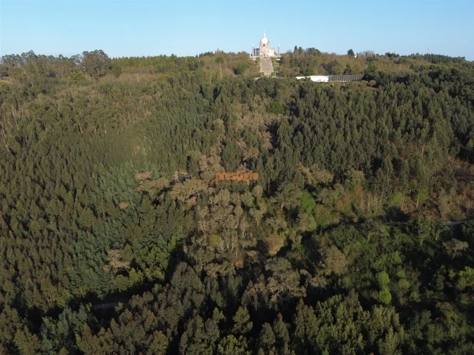 Terreno para Venda em Nogueiró e Tenões Foto 27