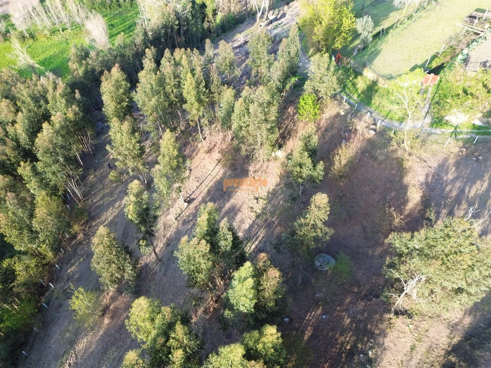 Terreno para Venda em Nogueiró e Tenões Foto 10