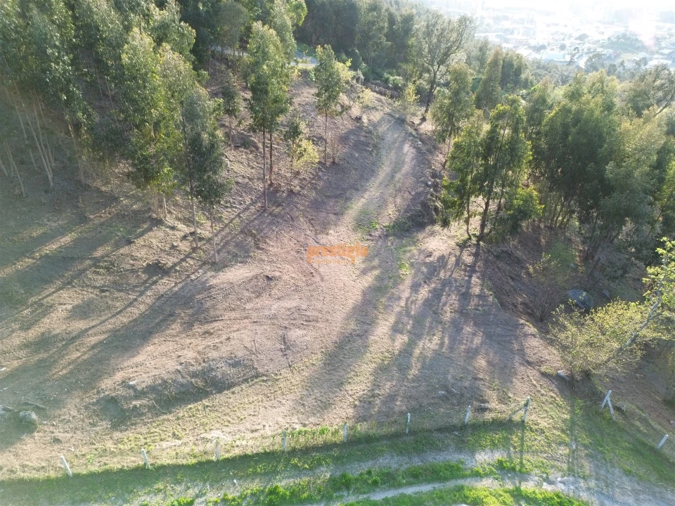 Terreno para Venda em Nogueiró e Tenões Foto 25