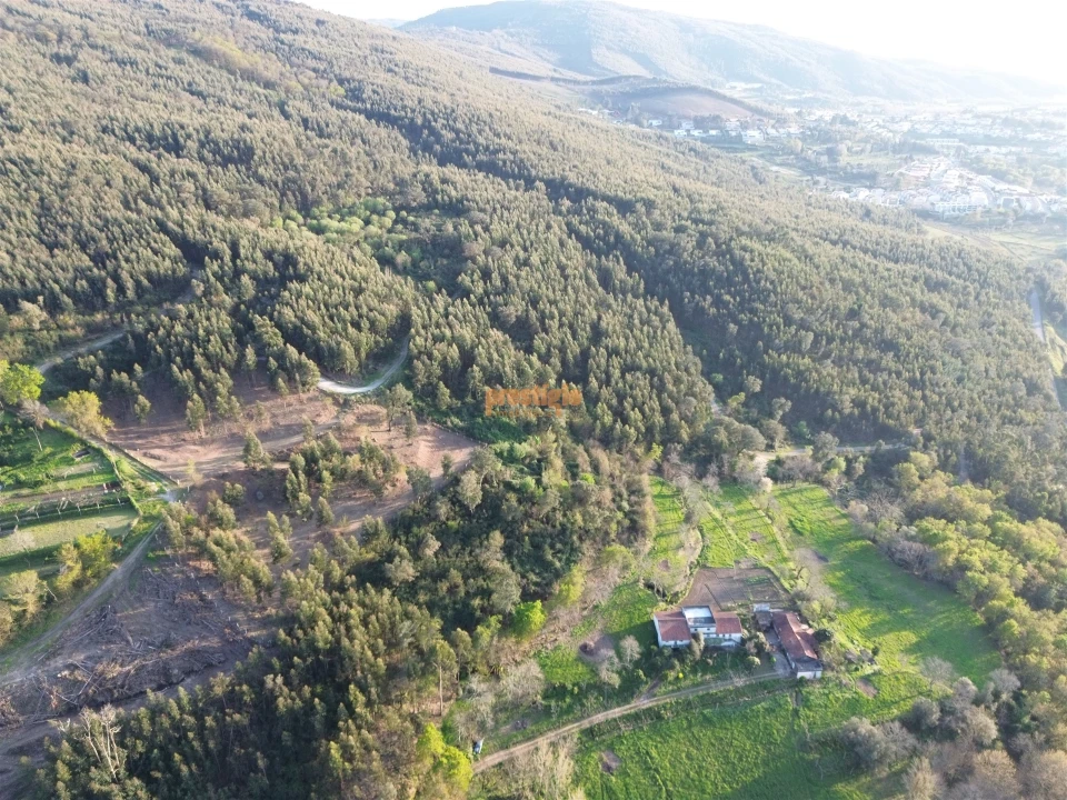 Terreno para Venda em Nogueiró e Tenões Foto 29