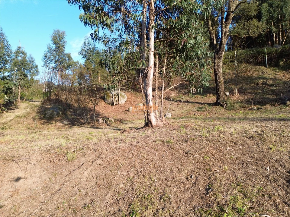 Terreno para Venda em Nogueiró e Tenões Foto 18