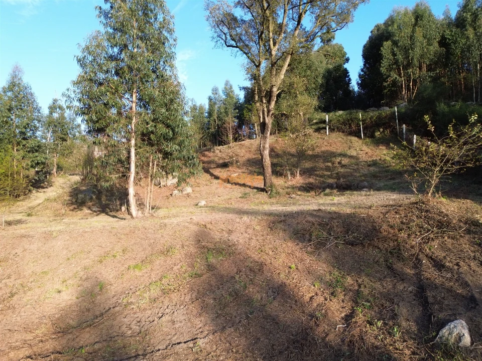 Terreno para Venda em Nogueiró e Tenões Foto 17