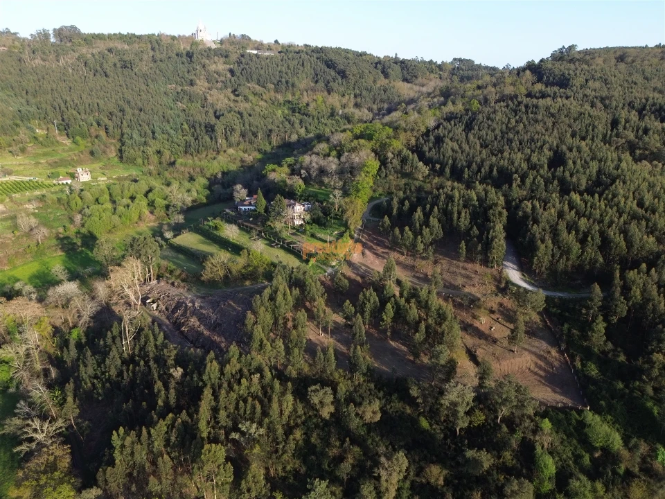 Terreno para Venda em Nogueiró e Tenões Foto 8