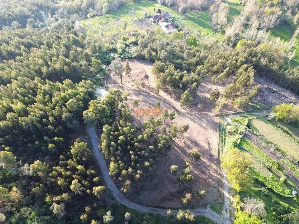 Terreno para Venda em Nogueiró e Tenões Foto 2