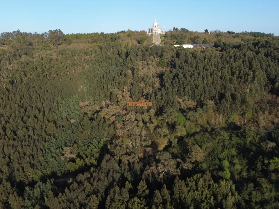 Terreno para Venda em Nogueiró e Tenões Foto 27