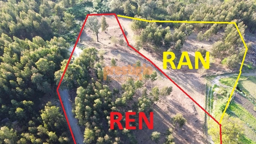 Terreno para Venda em Nogueiró e Tenões