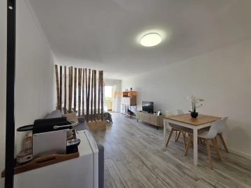 Apartamento T0 para Venda em Afife