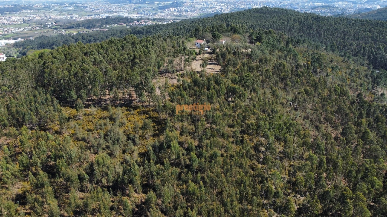 Terreno para Venda em Mire de Tibães Foto 10
