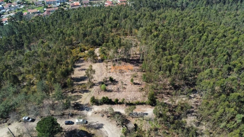 Terreno para Venda em Mire de Tibães