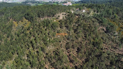 Terreno para Venda em Mire de Tibães