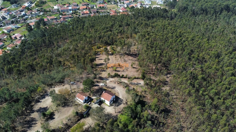 Terreno para Venda em Mire de Tibães Foto 4