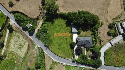Terreno para Venda em Pico