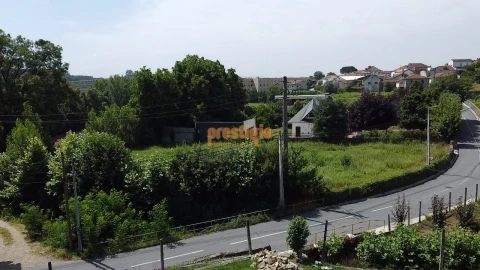 Terreno para Venda em Pico