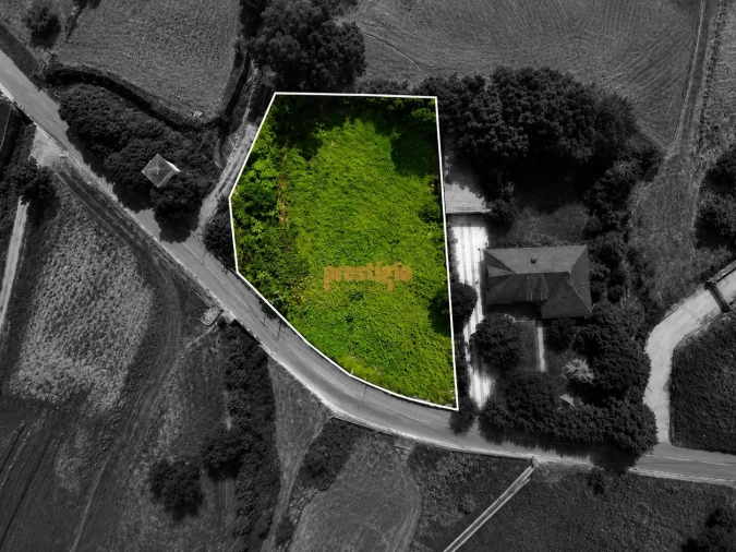 Terreno para Venda em Pico Foto 2