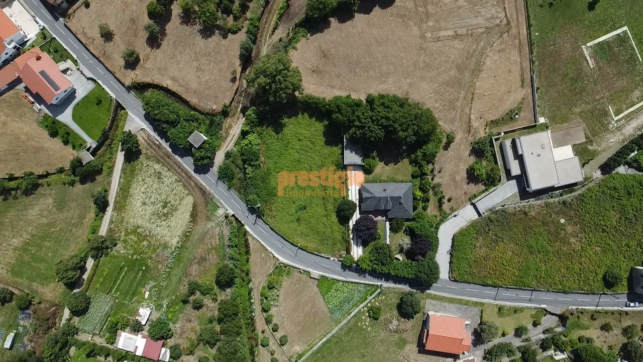 Terreno para Venda em Pico Foto 18