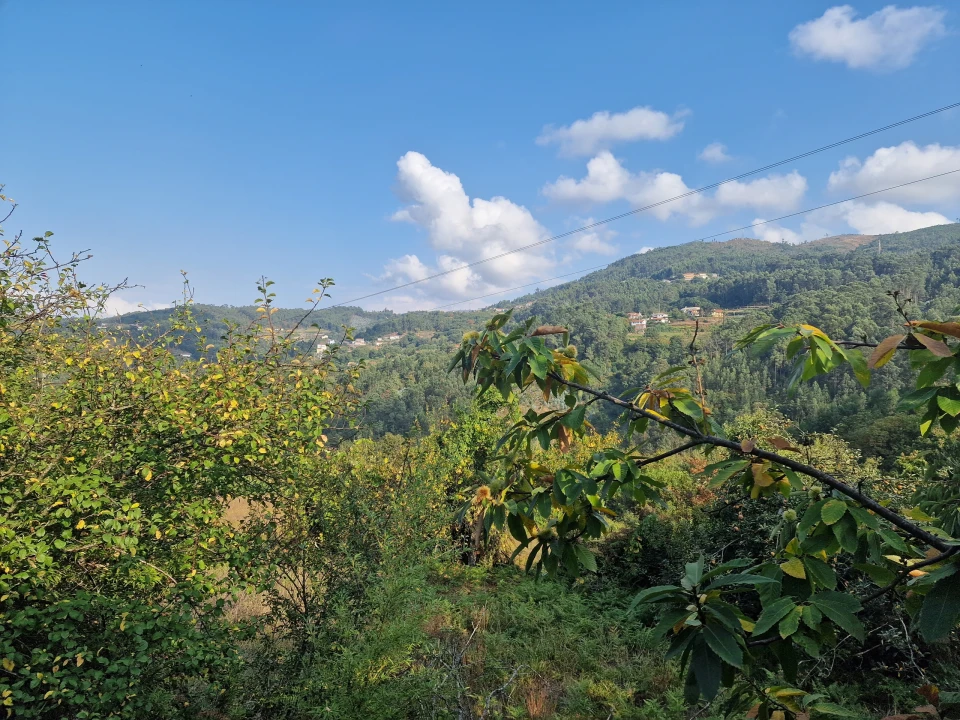 Moradia T3 para Venda em Chave Foto 16