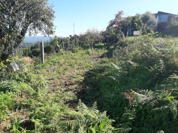 Moradia T3 para Venda em Escariz Foto 17