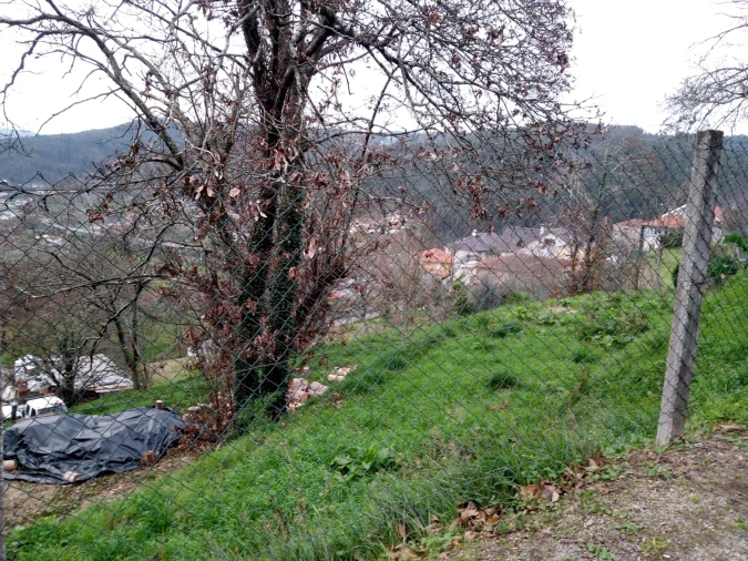 Terreno para Venda em Rossas Foto 8