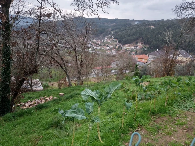 Terreno para Venda em Rossas Foto 6