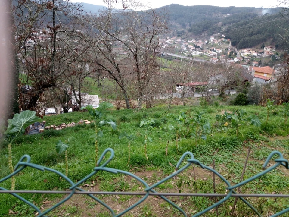 Terreno para Venda em Rossas Foto 5
