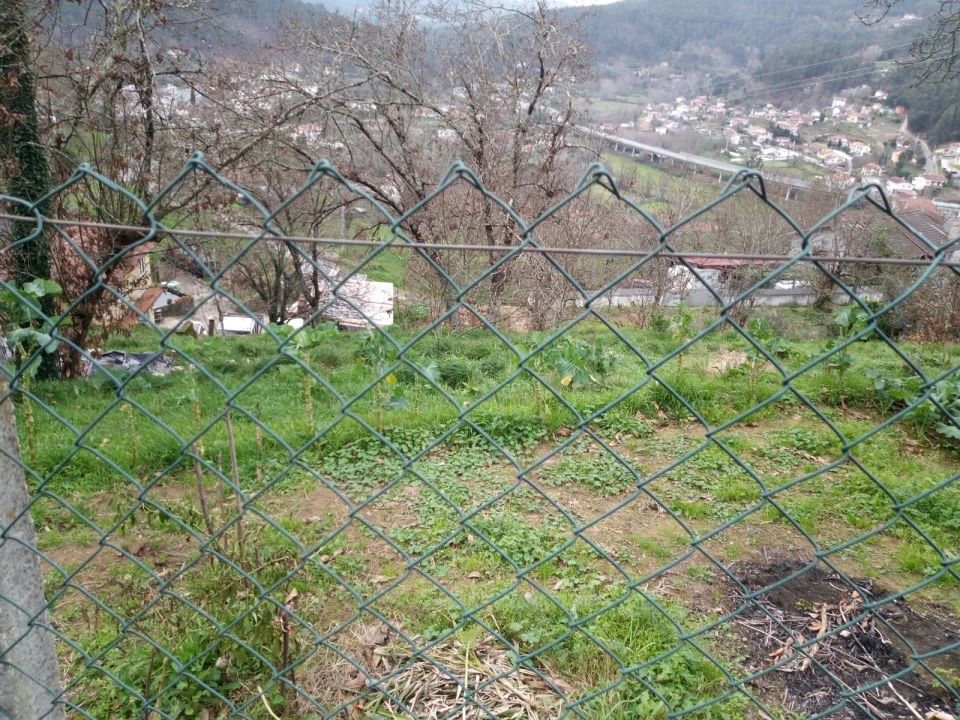 Terreno para Venda em Rossas Foto 7