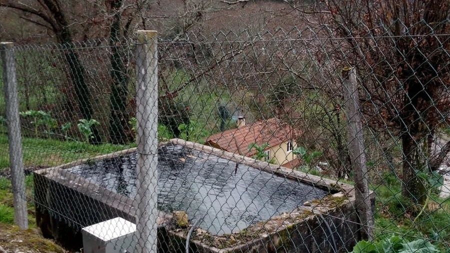 Terreno para Venda em Rossas